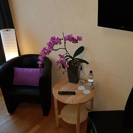 Exquisite Hotel