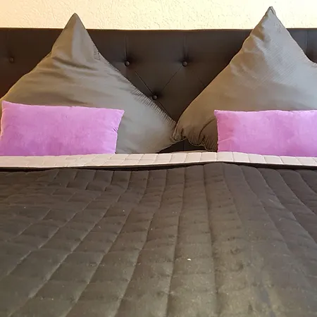 Exquisite Hotel 3*