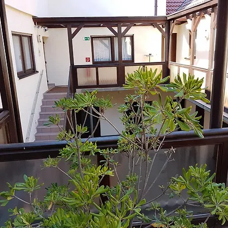 Exquisite Hotel 3*